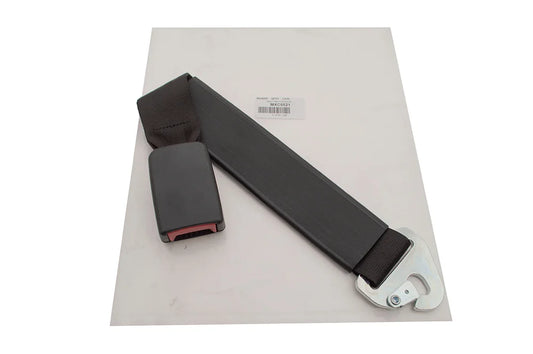 Seat Belt Buckle